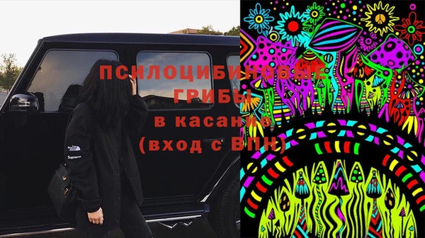 таблы Богородск
