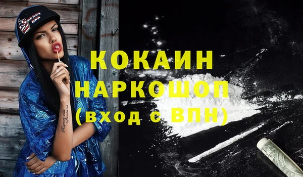 твердый Богданович