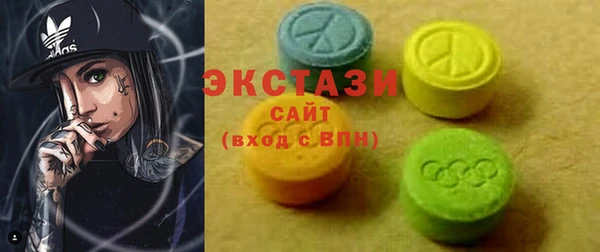 ECSTASY Богородицк