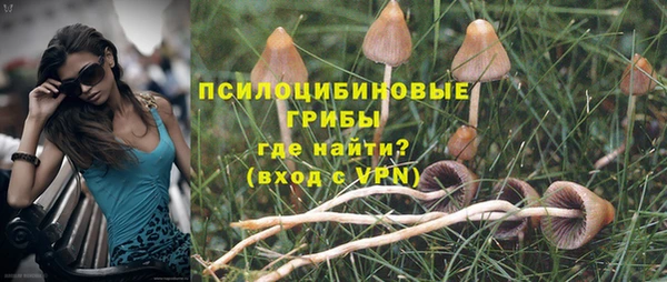 твердый Богданович