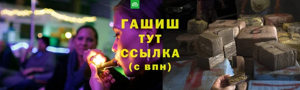 ECSTASY Богородицк