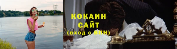 ECSTASY Богородицк