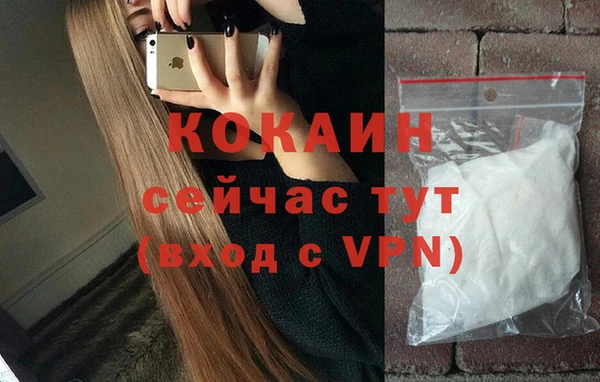 твердый Богданович