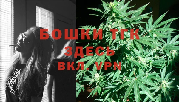 твердый Богданович