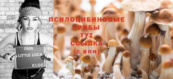 ECSTASY Богородицк