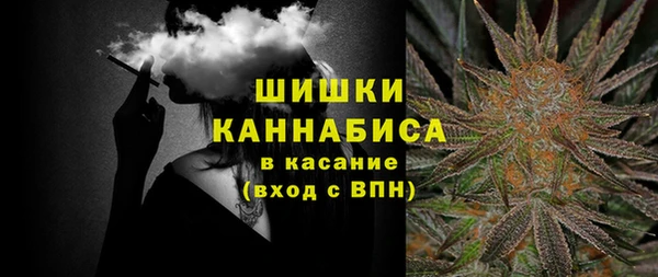 ECSTASY Богородицк
