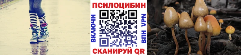 что такое наркотик  Макаров  Псилоцибиновые грибы ЛСД 